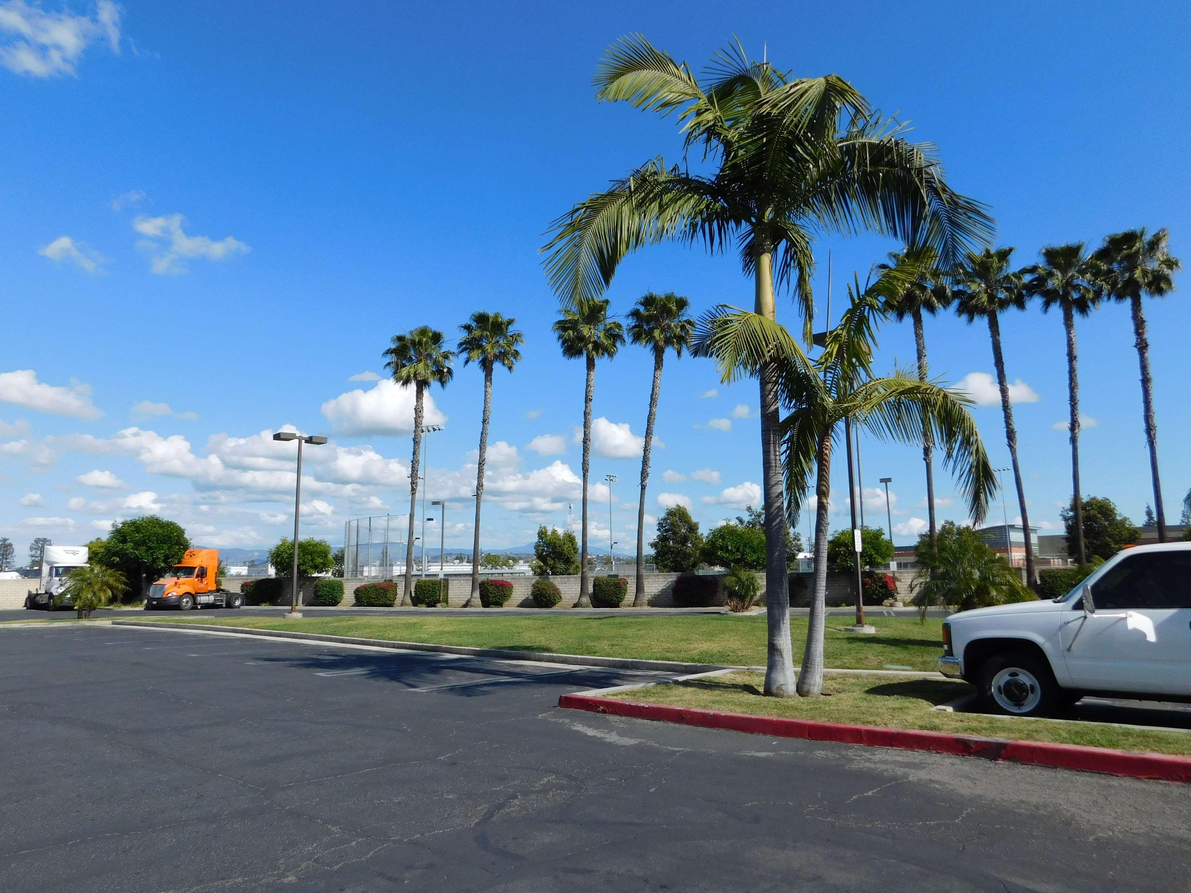 Best Western Plus - Anaheim Orange County Hotel Placentia Kültér fotó